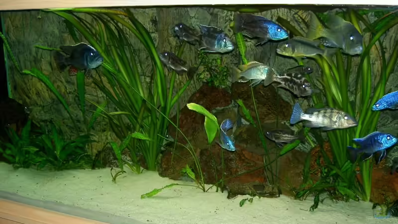 220x70x60 von Abdullah Özer (1)