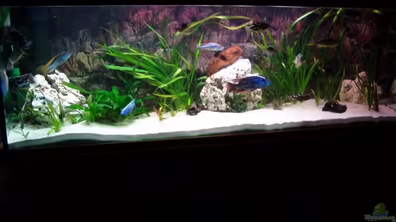 220x70x60 von Abdullah Özer (38)