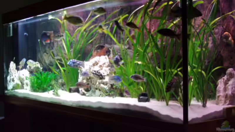 220x70x60 von Abdullah Özer (6)