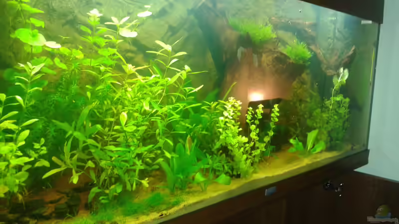 23. März 2014 von Deoroller (18)