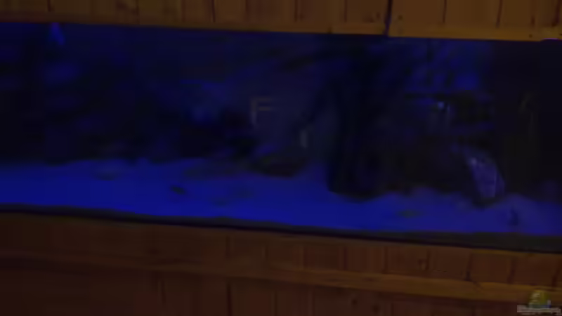 23:00 uhr bis 24:00 uhr von Antonio Di Simone (6)