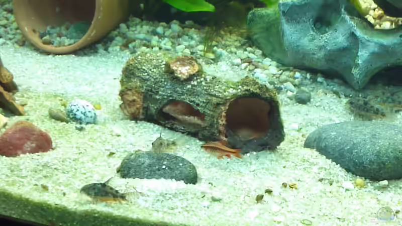 23.01.2012 von baw (10)