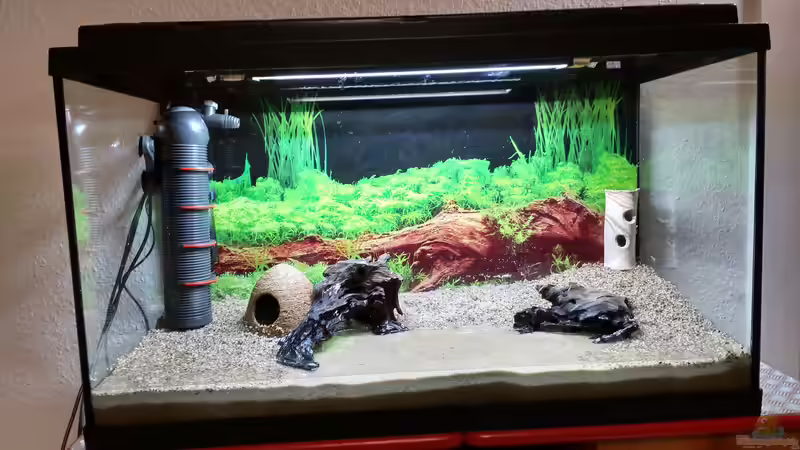 23.01.21: Die Einrichtung ist erstmal fertig von Lily (7)