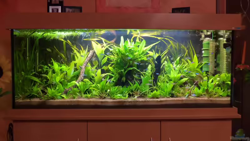 23.02.14 von Dieter (10)