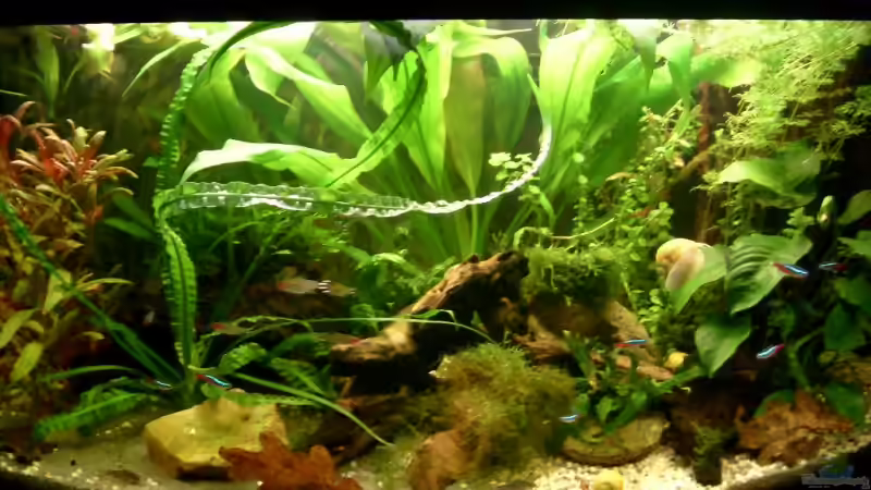 23.02.2008 von Matthias Schuster (3)