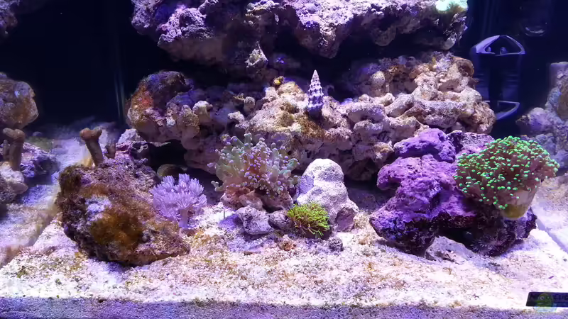 23.02.2015 von BenoN (4)