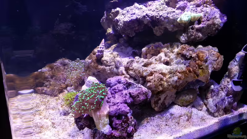 23.02.2015 von BenoN (5)