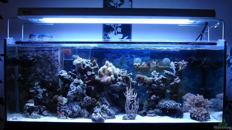 23.03.2013 von Jane Vogeler (28)