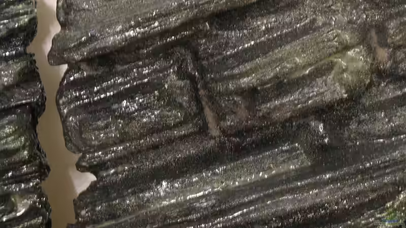 23.03.2014 Details versiegelte Module von der Theoretiker (29)