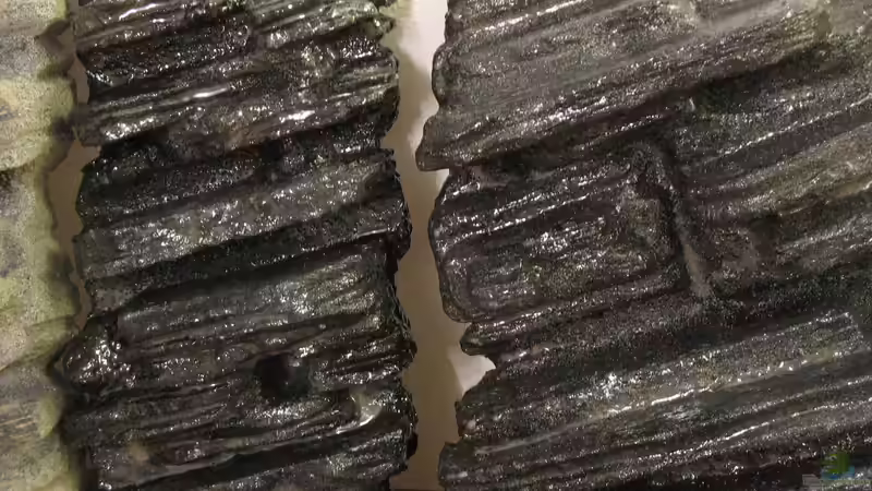 23.03.2014 fertig versiegelte Module, Glanz sollte submers verschwinden von der Theoretiker (28)