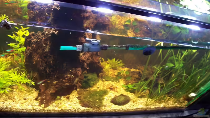 23.03.2014 Hinten von Jens J. (3)