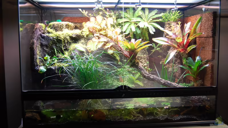 23.03.2014 von Junglist (30)