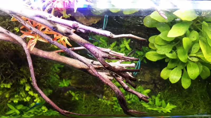 23.04.17 von Der Nicky (46)