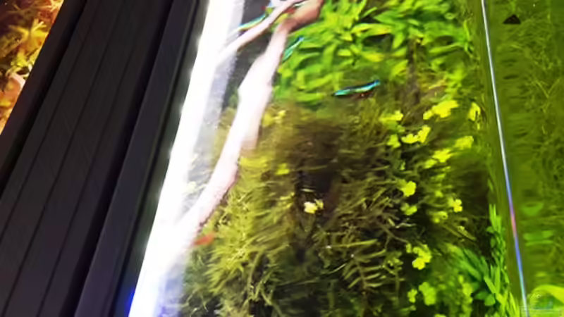 23.04.17 von Der Nicky (58)