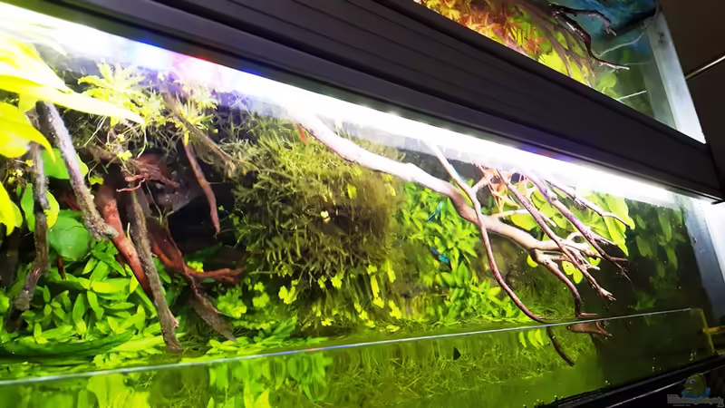 23.04.17 von Der Nicky (59)