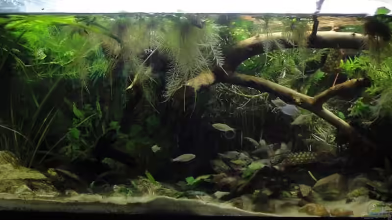 23.04.2010 von Laura (7)