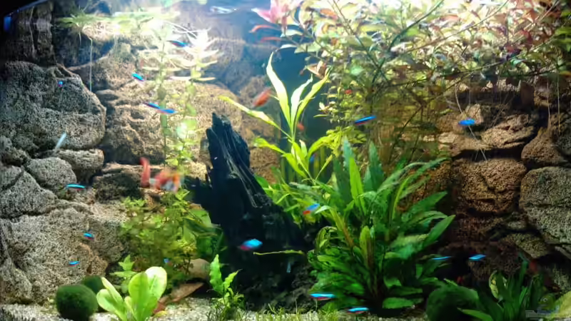 23.04.2010 von manala (6)