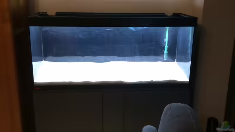 23.04.2021 Becken steht Kies eingefüllt von herkla (5)