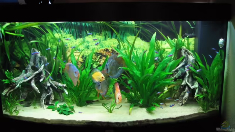 23.05.09 von Stefan (3)