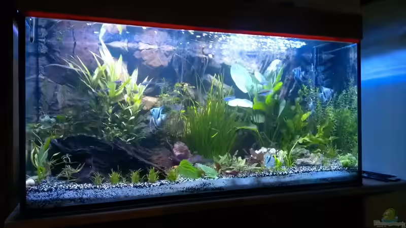 23.05.2014 von raubsau (22)