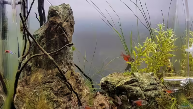 23.05.2020 Totale von Julia S. (2)