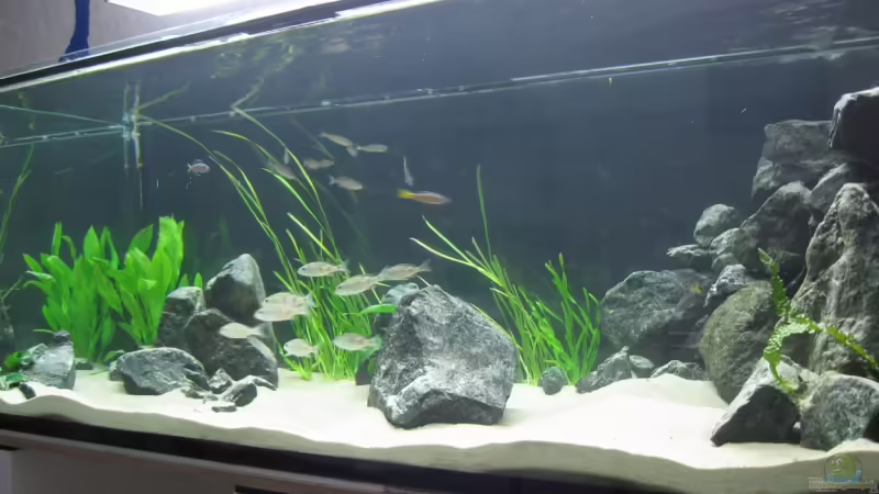 23.06.09 von Andi*Sehlde (10)