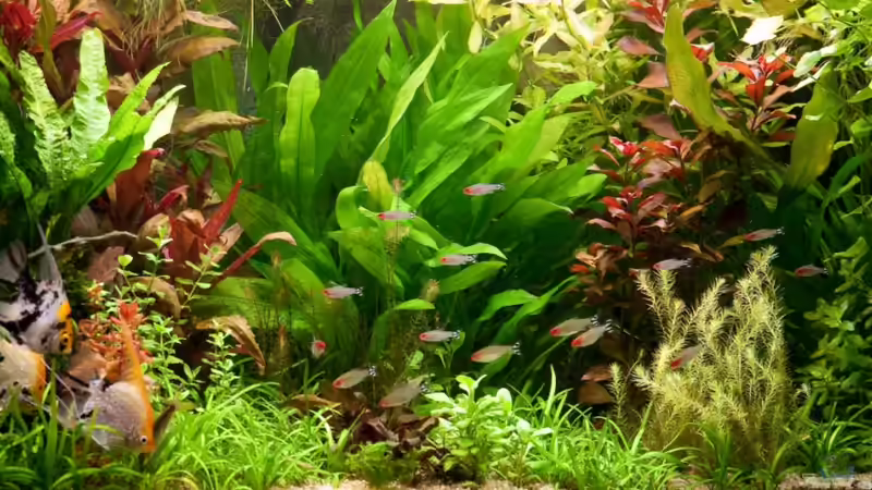 23.06.2010 von Ralf64 (22)