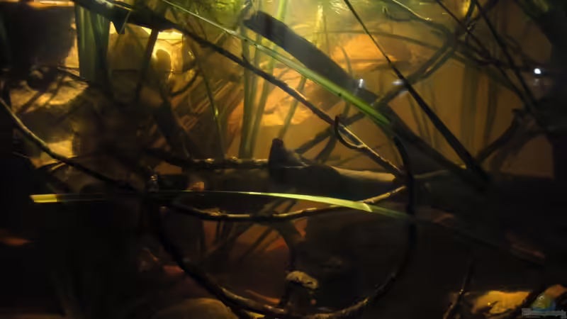 23.08.15 von Laura (10)