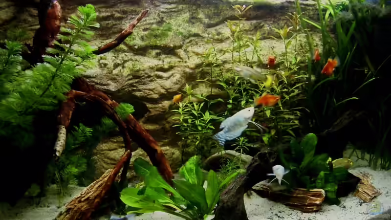 23.09.07 von Manuel (1)