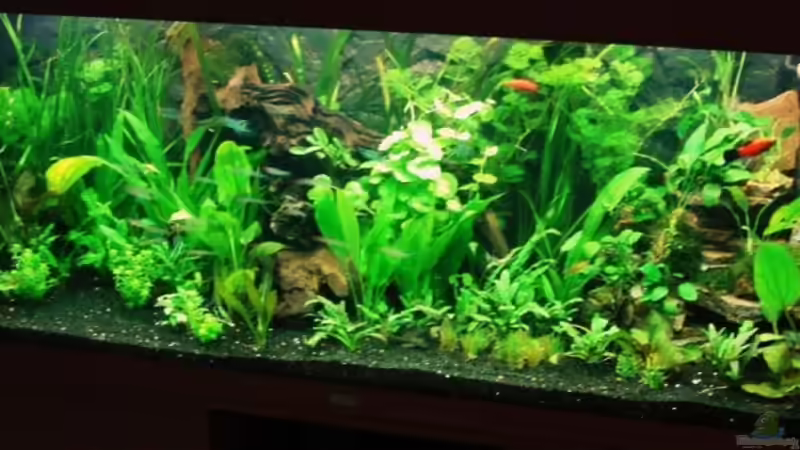 23.09.2009 von Microsash (3)