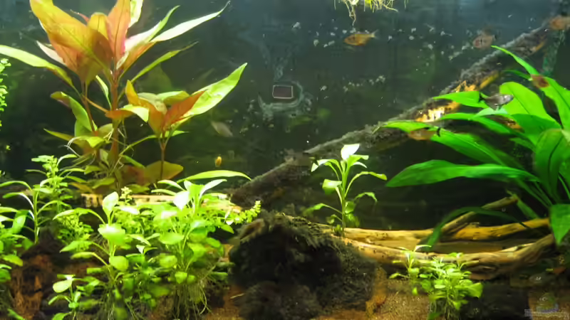 23.09.2012 von Lisa K. (6)