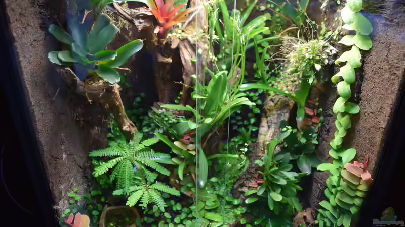 23.09.2015 von Junglist (32)