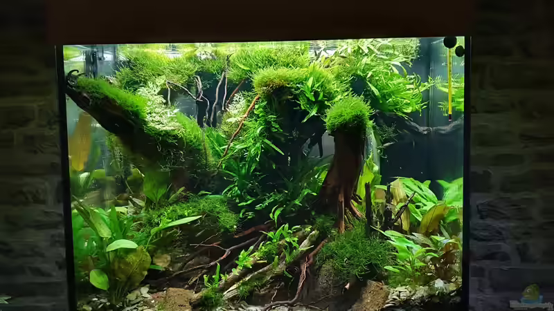 23.09.2021 leicht schräg von oben von der Theoretiker (21)