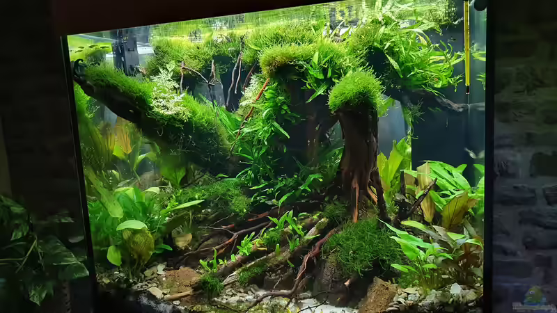 23.09.2021 leicht schräg von rechts oben von der Theoretiker (22)