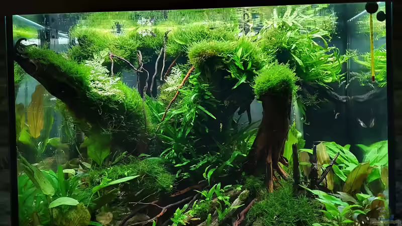 23.09.2021 leicht von rechts  von der Theoretiker (20)