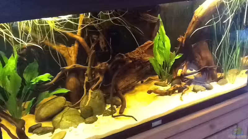 23.10.14 von Jemafa (7)