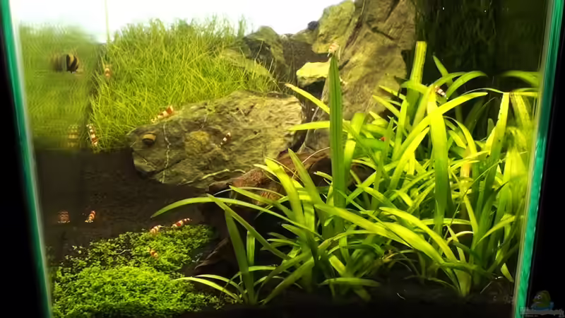 23.10.2010 von Maik A. (14)