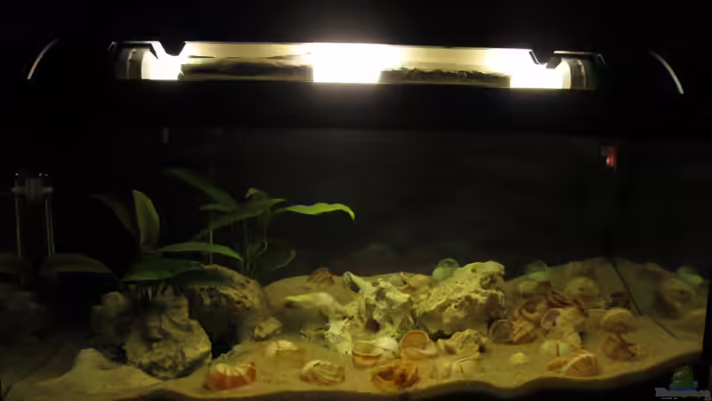 23.10.2012 von Locke1992 (1)