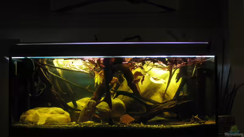 23.10.2016 Gesamtansicht von der Theoretiker (33)