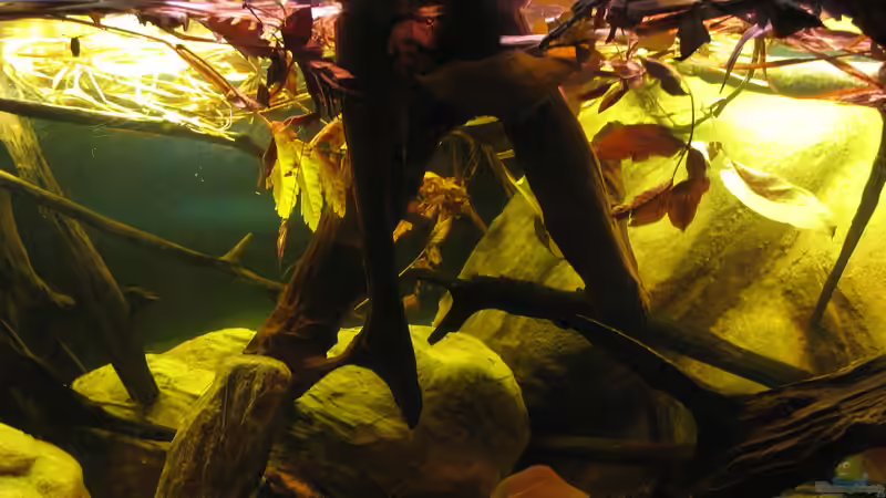 23.10.2016 Mitte  von der Theoretiker (27)