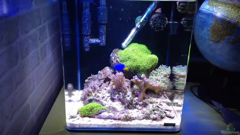 23.10.2016 von BenoN (1)