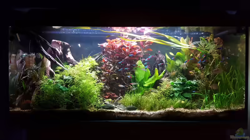 23.10.2018   von Mel (11)