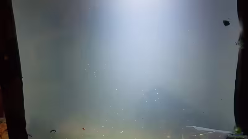 23.10.2018 von Kevin Engelsberger (7)