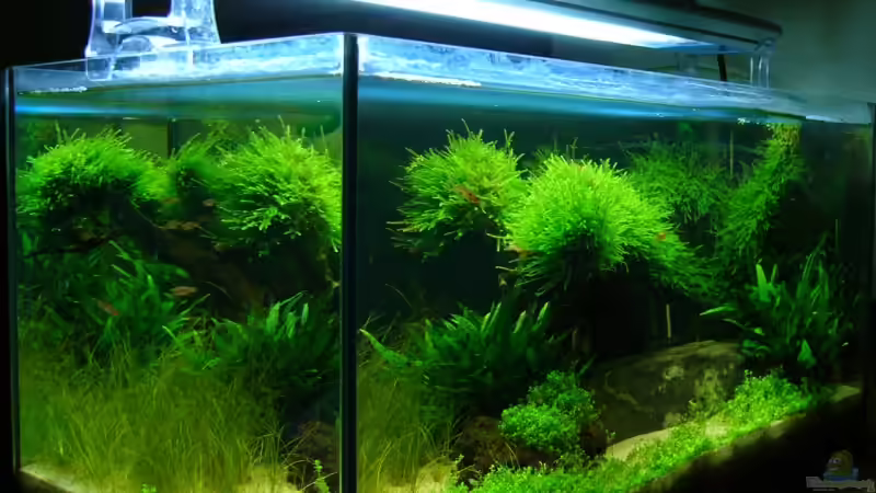 23.11.07 von der Seite von Tim (8)