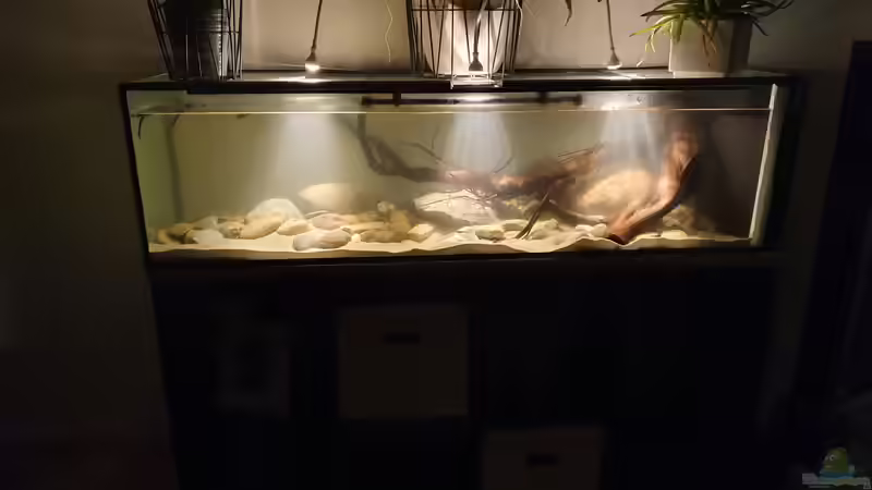 23.11.19 von Aqua fan (2)