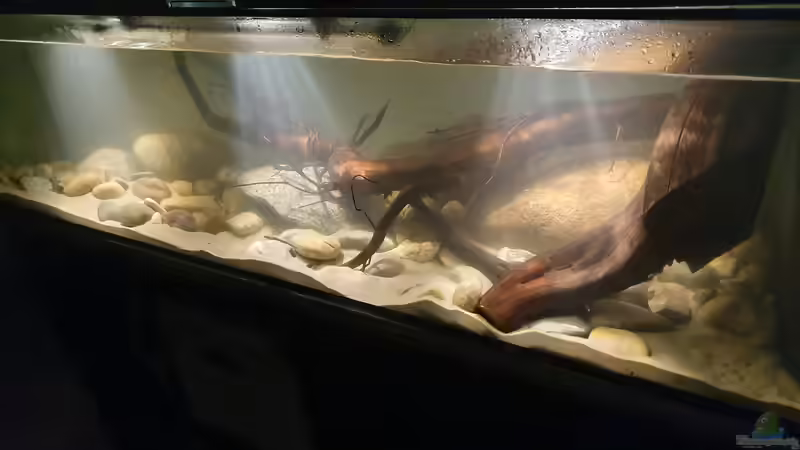 23.11.19 von Aqua fan (4)