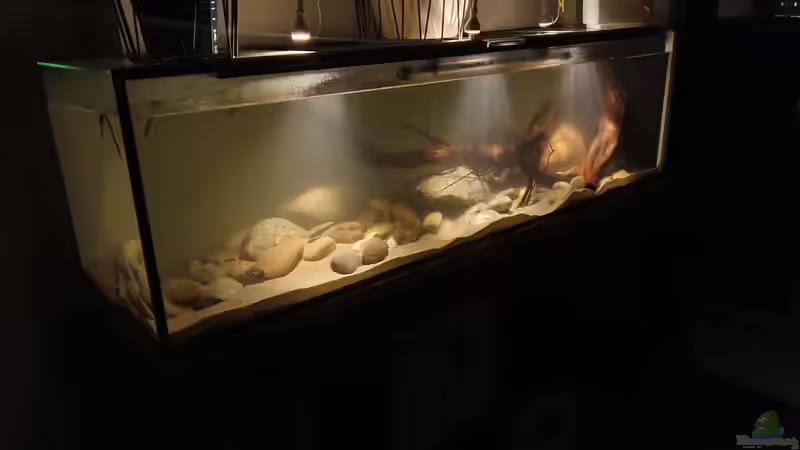 23.11.19 von Aqua fan (5)