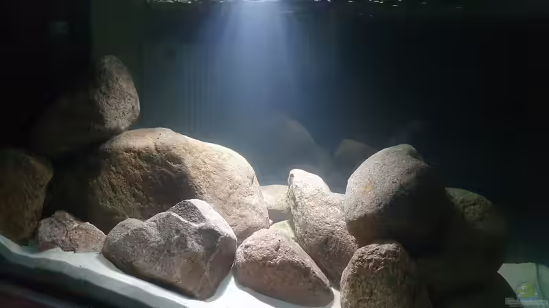 23.11.20 von Aqua fan (10)