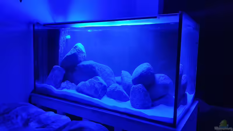 23.11.20 von Aqua fan (5)