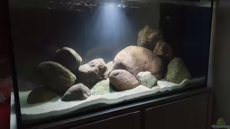 23.11.20 von Aqua fan (6)